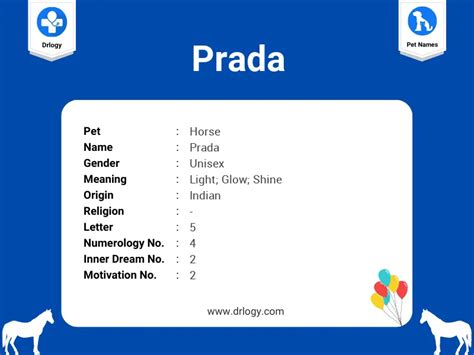 meaning of prada in english|prada you slang.